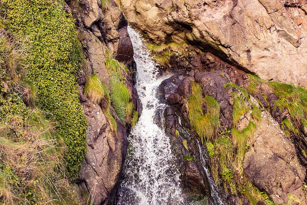spleenwort-cave-new